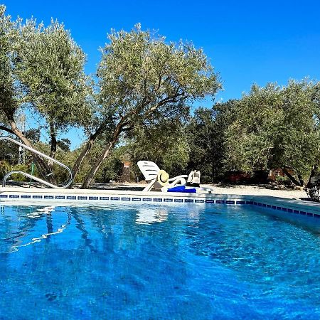 Refugio Andaluz Con Piscina Entre Olivos Villanueva de Tapia Exterior foto